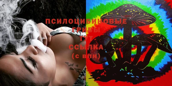 винт Белокуриха